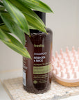 Shampoo