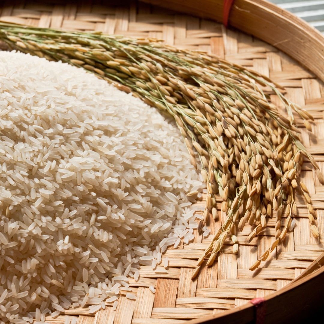 The Surprising Benefits of Rice in Body Lotion