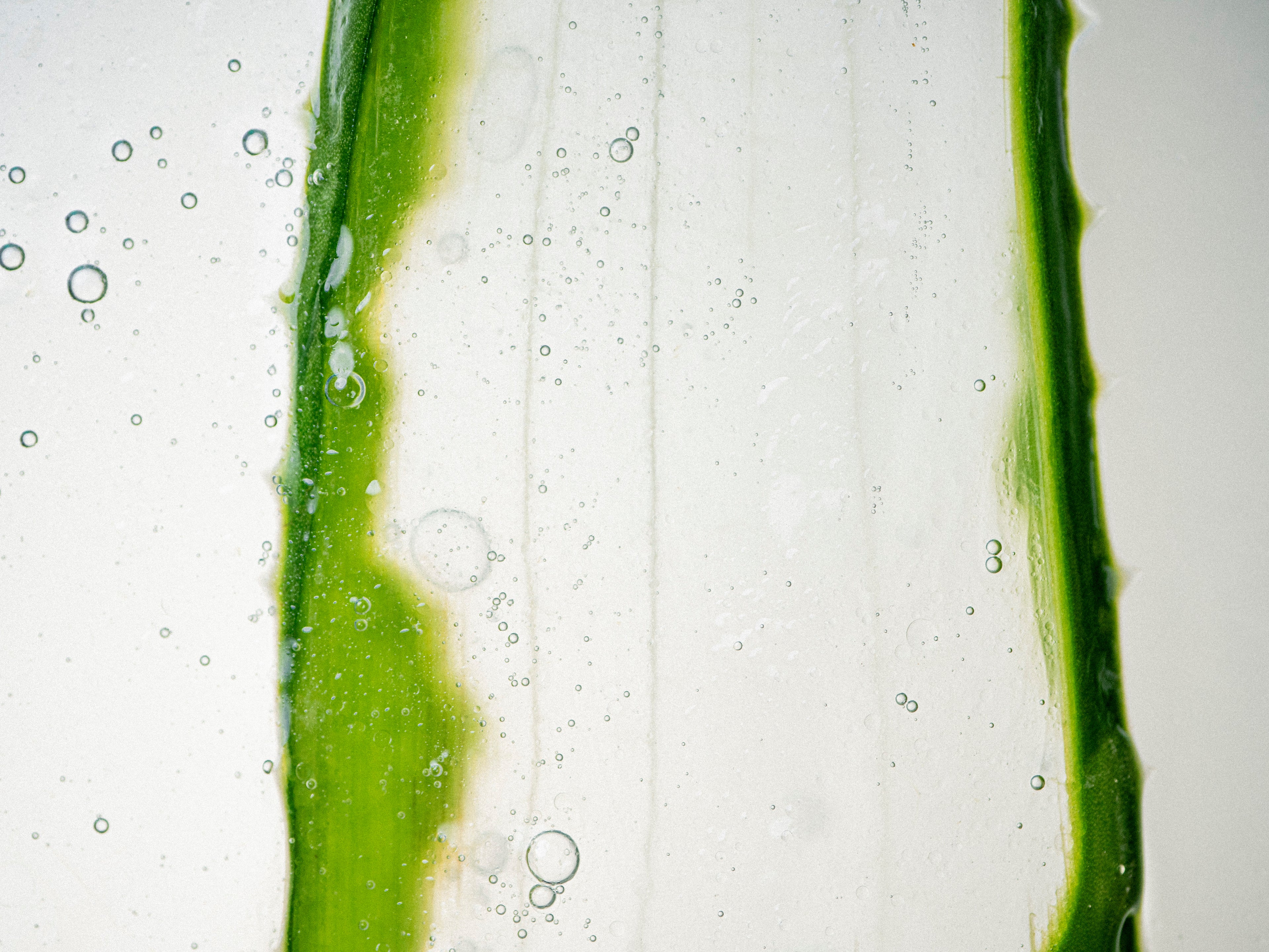 Facial Cleaning Foam - Rice & Aloe Vera