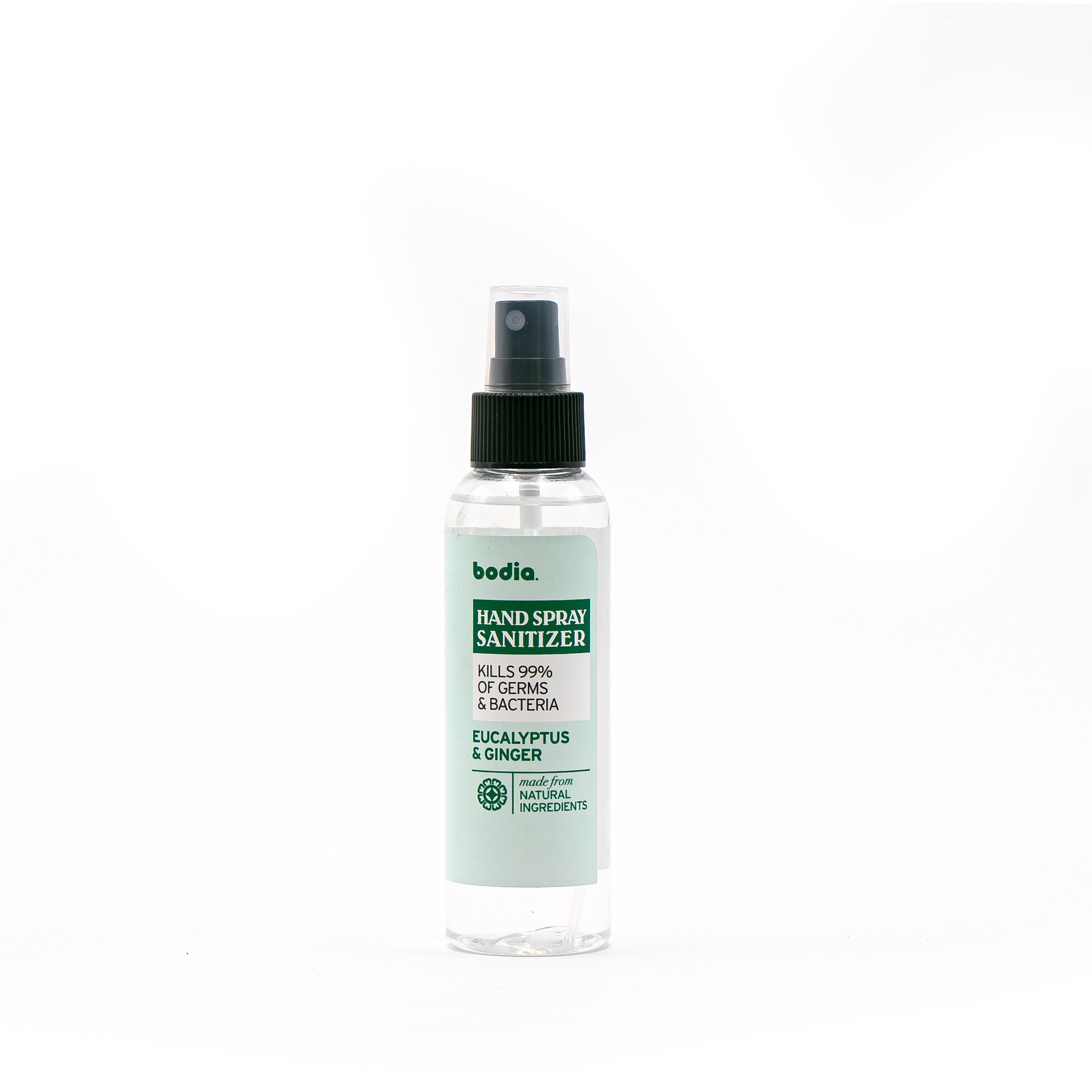 Hand Spray Sanitizer