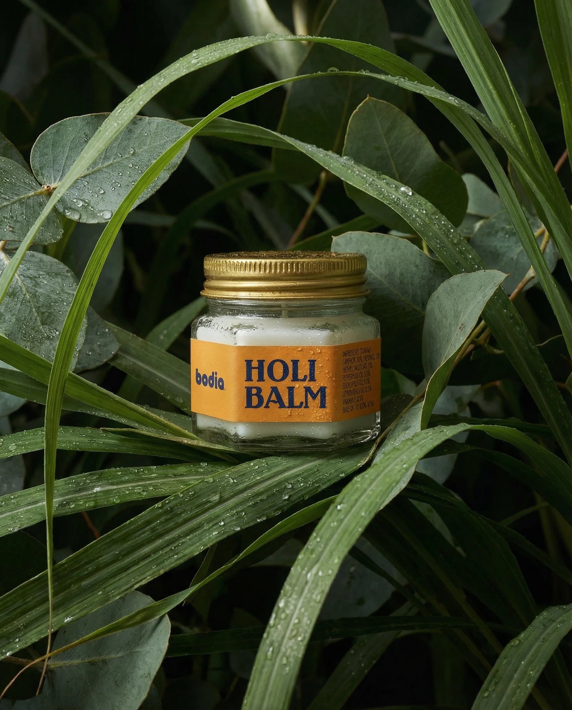 New Holi Balm